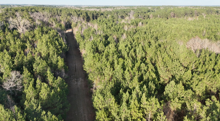 40 Acres For Sale in Choudrant, Louisiana - image 4