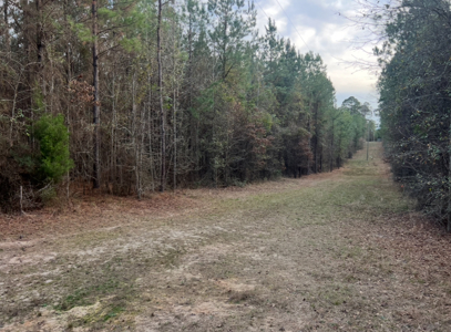 40 Acres For Sale in Choudrant, Louisiana - image 1