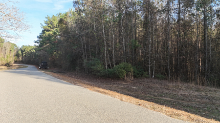 40 Acres For Sale in Choudrant, Louisiana - image 6