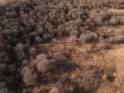 Exceptional Chautauqua County Kansas 320 ± Acres - image 22
