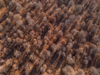 Exceptional Chautauqua County Kansas 320 ± Acres - image 29