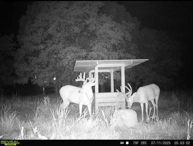 Exceptional Chautauqua County Kansas 320 ± Acres - image 46