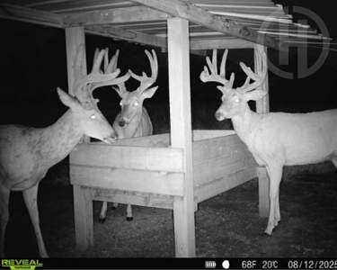 Exceptional Chautauqua County Kansas 320 ± Acres - image 50