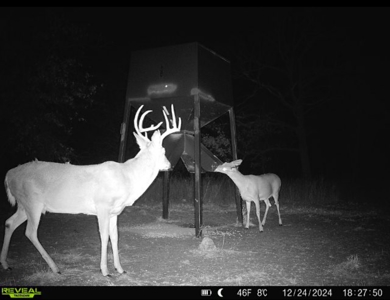 Exceptional Chautauqua County Kansas 320 ± Acres - image 45