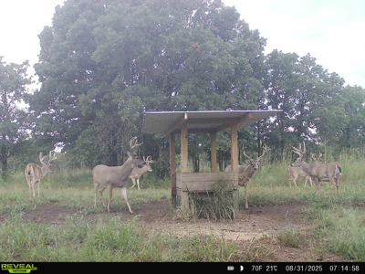 Exceptional Chautauqua County Kansas 320 ± Acres - image 1