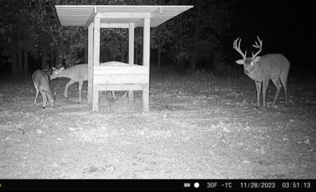 Exceptional Chautauqua County Kansas 320 ± Acres - image 5