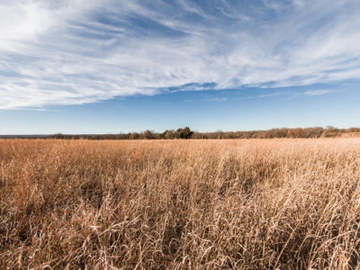 Exceptional Chautauqua County Kansas 320 ± Acres - image 14