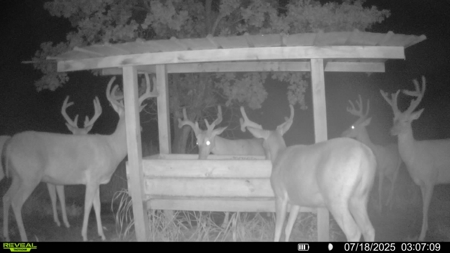 Exceptional Chautauqua County Kansas 320 ± Acres - image 47