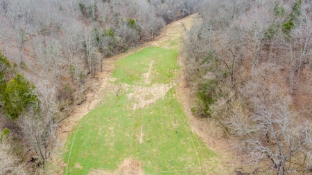 RARE HUNTING OPPORTUNITY: 383.163 +/- Acre Paradise - image 44