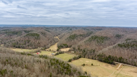 RARE HUNTING OPPORTUNITY: 383.163 +/- Acre Paradise - image 5