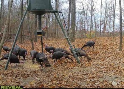 RARE HUNTING OPPORTUNITY: 383.163 +/- Acre Paradise - image 50