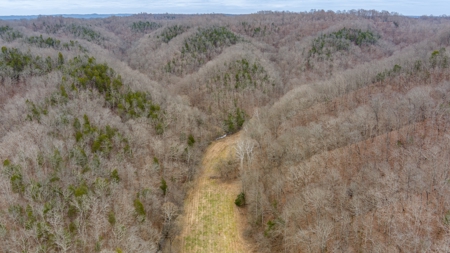 RARE HUNTING OPPORTUNITY: 383.163 +/- Acre Paradise - image 31