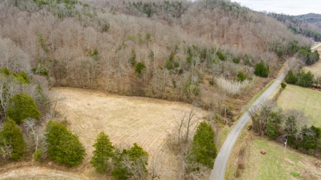 RARE HUNTING OPPORTUNITY: 383.163 +/- Acre Paradise - image 15