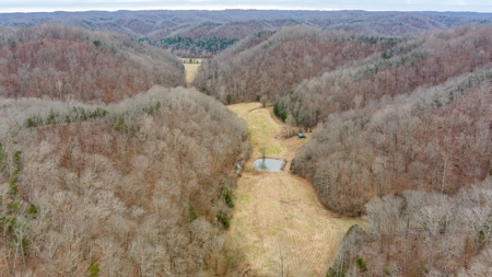 RARE HUNTING OPPORTUNITY: 383.163 +/- Acre Paradise - image 32