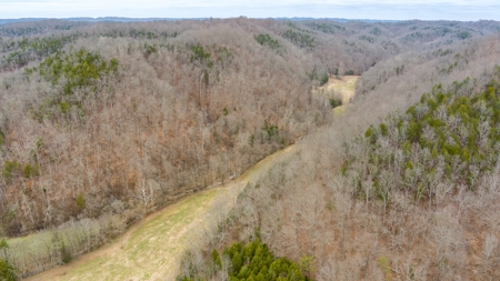RARE HUNTING OPPORTUNITY: 383.163 +/- Acre Paradise - image 12
