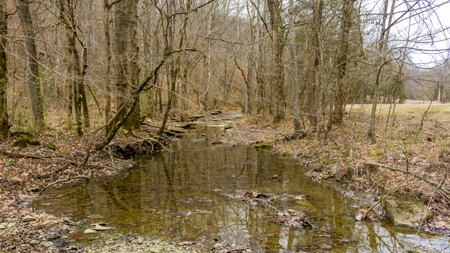 RARE HUNTING OPPORTUNITY: 383.163 +/- Acre Paradise - image 21