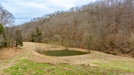 RARE HUNTING OPPORTUNITY: 383.163 +/- Acre Paradise - image 29