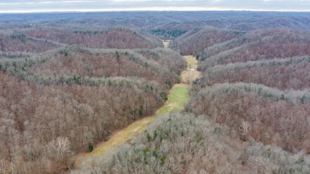 RARE HUNTING OPPORTUNITY: 383.163 +/- Acre Paradise - image 38