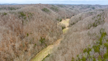 RARE HUNTING OPPORTUNITY: 383.163 +/- Acre Paradise - image 11