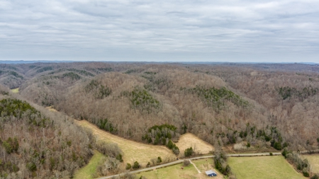RARE HUNTING OPPORTUNITY: 383.163 +/- Acre Paradise - image 3