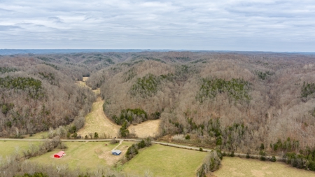 RARE HUNTING OPPORTUNITY: 383.163 +/- Acre Paradise - image 4