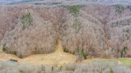 RARE HUNTING OPPORTUNITY: 383.163 +/- Acre Paradise - image 36