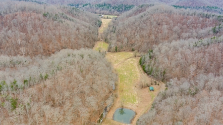 RARE HUNTING OPPORTUNITY: 383.163 +/- Acre Paradise - image 19