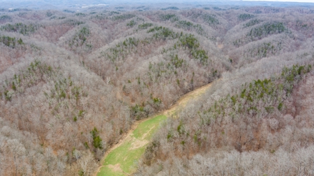 RARE HUNTING OPPORTUNITY: 383.163 +/- Acre Paradise - image 35