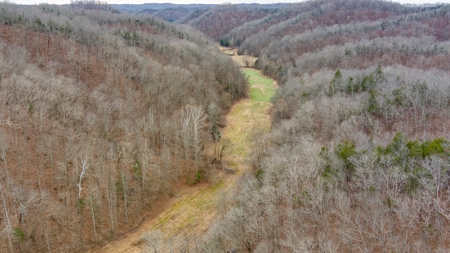 RARE HUNTING OPPORTUNITY: 383.163 +/- Acre Paradise - image 41