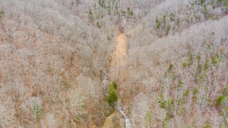 RARE HUNTING OPPORTUNITY: 383.163 +/- Acre Paradise - image 40