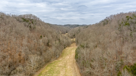 RARE HUNTING OPPORTUNITY: 383.163 +/- Acre Paradise - image 6