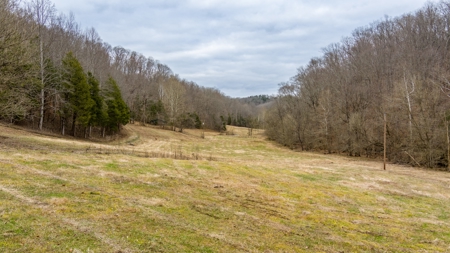 RARE HUNTING OPPORTUNITY: 383.163 +/- Acre Paradise - image 23