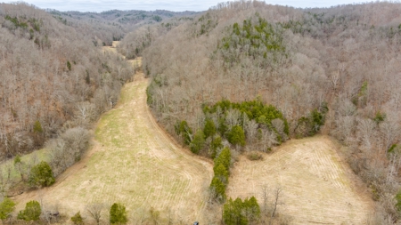 RARE HUNTING OPPORTUNITY: 383.163 +/- Acre Paradise - image 7