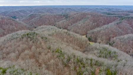 RARE HUNTING OPPORTUNITY: 383.163 +/- Acre Paradise - image 37