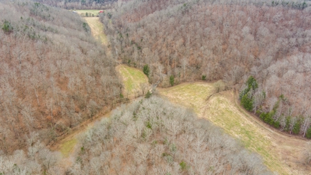 RARE HUNTING OPPORTUNITY: 383.163 +/- Acre Paradise - image 18