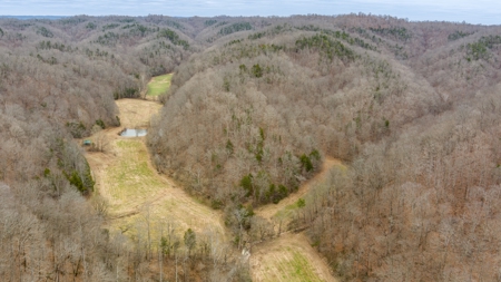 RARE HUNTING OPPORTUNITY: 383.163 +/- Acre Paradise - image 2