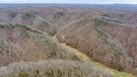 RARE HUNTING OPPORTUNITY: 383.163 +/- Acre Paradise - image 34