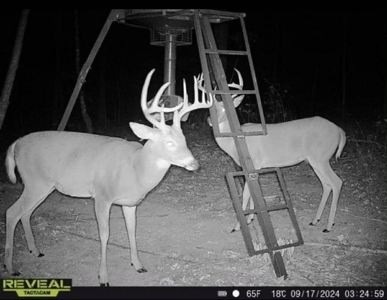 RARE HUNTING OPPORTUNITY: 383.163 +/- Acre Paradise - image 45