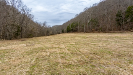 RARE HUNTING OPPORTUNITY: 383.163 +/- Acre Paradise - image 14
