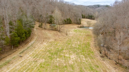 RARE HUNTING OPPORTUNITY: 383.163 +/- Acre Paradise - image 27