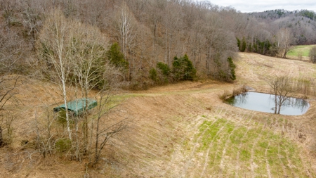 RARE HUNTING OPPORTUNITY: 383.163 +/- Acre Paradise - image 26