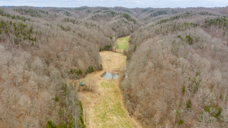 RARE HUNTING OPPORTUNITY: 383.163 +/- Acre Paradise - image 9