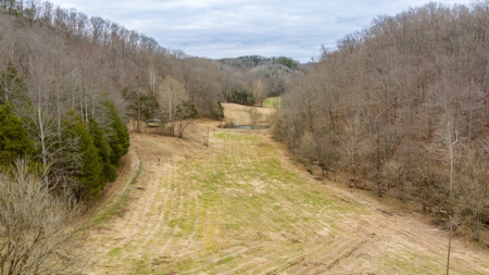 RARE HUNTING OPPORTUNITY: 383.163 +/- Acre Paradise - image 24