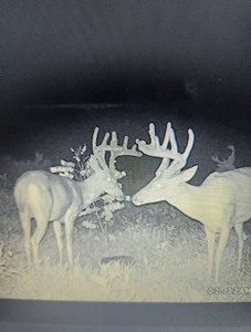 RARE HUNTING OPPORTUNITY: 383.163 +/- Acre Paradise - image 49