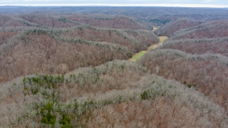 RARE HUNTING OPPORTUNITY: 383.163 +/- Acre Paradise - image 39