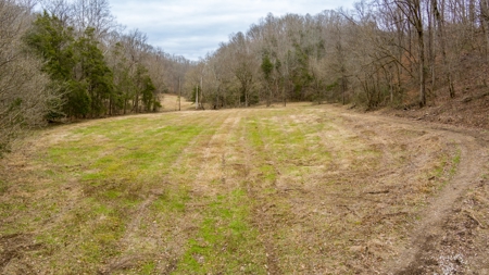 RARE HUNTING OPPORTUNITY: 383.163 +/- Acre Paradise - image 22