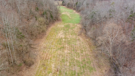 RARE HUNTING OPPORTUNITY: 383.163 +/- Acre Paradise - image 43