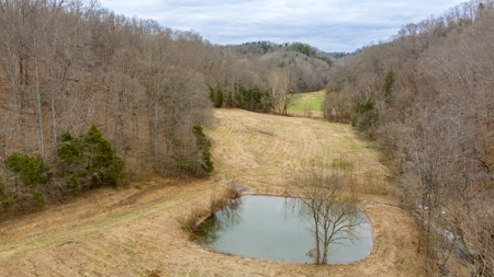 RARE HUNTING OPPORTUNITY: 383.163 +/- Acre Paradise - image 25