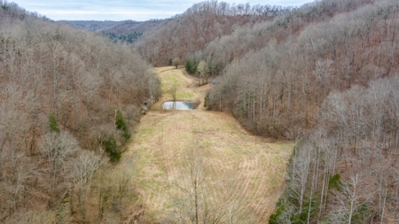 RARE HUNTING OPPORTUNITY: 383.163 +/- Acre Paradise - image 42