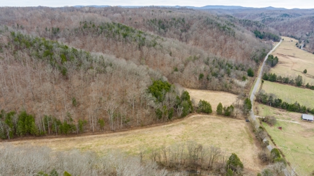 RARE HUNTING OPPORTUNITY: 383.163 +/- Acre Paradise - image 16